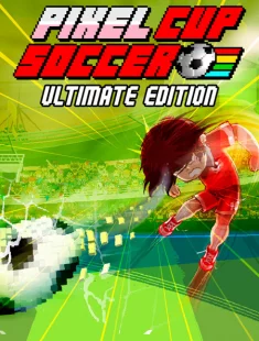 Pixel Cup Soccer (2022-26|Англ)